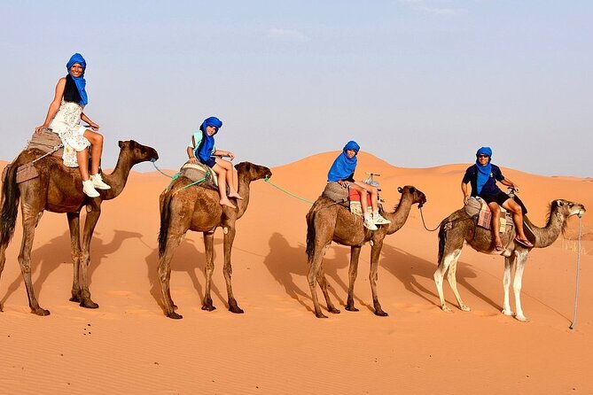 Tour from Ouarzazate to Vallee Du Draa and Dunes Of Tinfou - Who will enjoy this day most?
