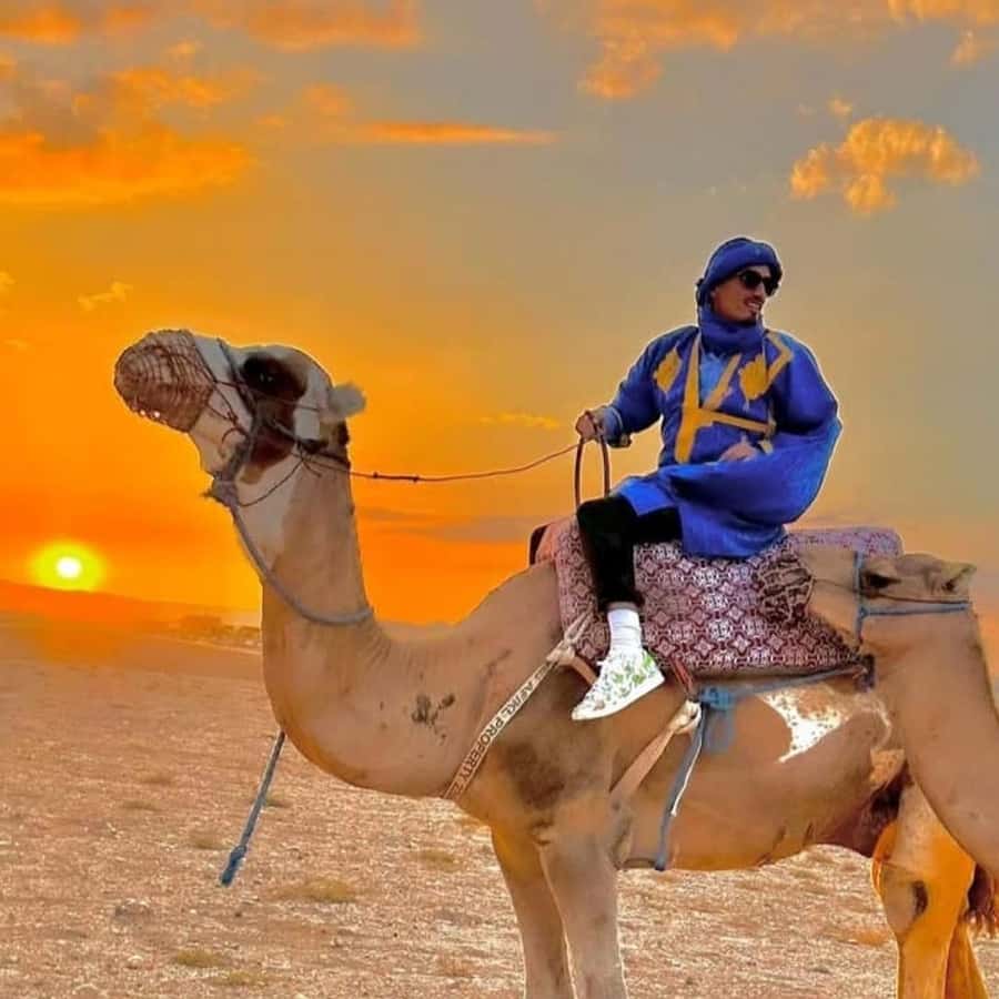 Unforgettable Desert Night: Dinner, Camel Ride & Quad Bike - Dinner, music, and the fire show