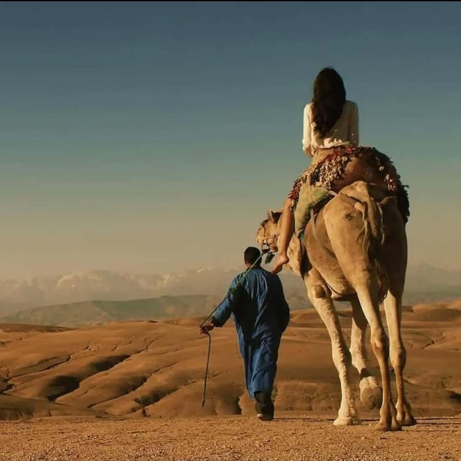 Unforgettable Desert Night: Dinner, Camel Ride & Quad Bike - Guide care and transport quality
