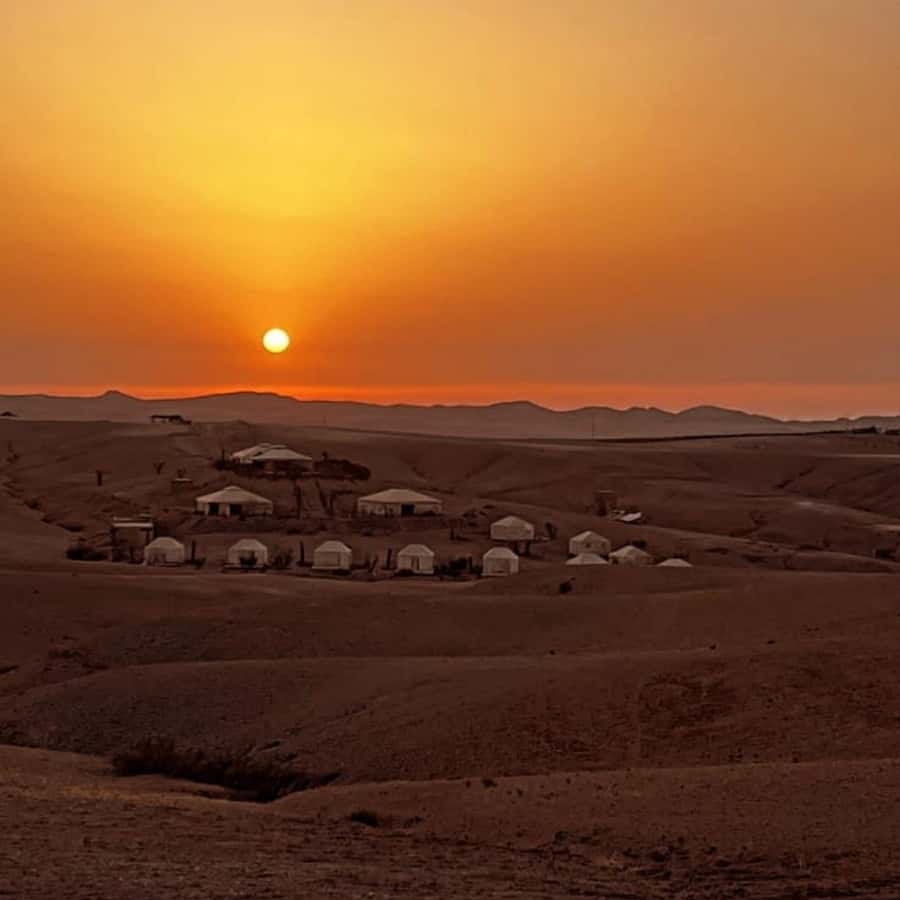 Unforgettable Desert Night: Dinner, Camel Ride & Quad Bike - Is $148 a fair price?