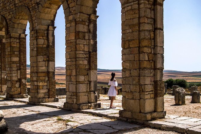 Volubilis and Meknes day trip from Fez - Walking among Volubilis mosaics