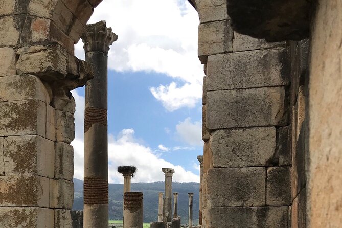 Volubilis, Moulay Idriss and Meknes Day Trip from Fez - Timing, meals, and practical comfort