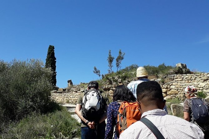 Volubilis mulay idriss and meknas tour - Heat, walking, and the right kind of preparation