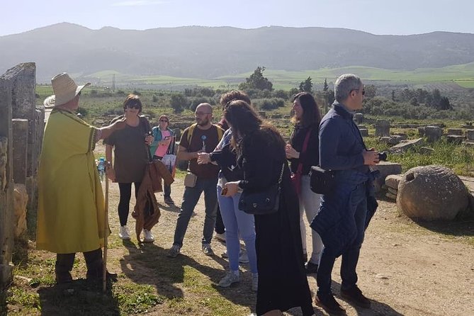 Volubilis mulay idriss and meknas tour - Who will get the most from this day trip