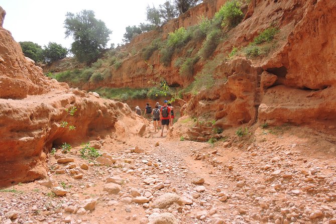 Walk between Argan Forest, Ocean & Waterfalls. 12 km - The wild beach stop