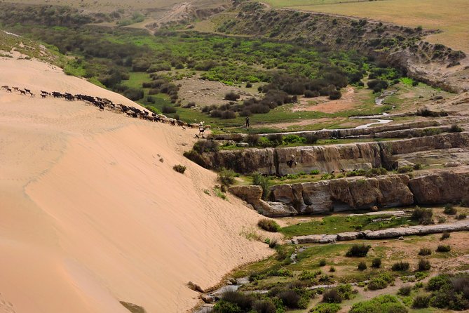 Walk between Argan Forest, Ocean & Waterfalls. 12 km - Tajine with a Moroccan family