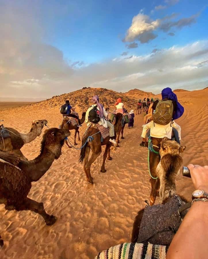 Zagora Desert: 2-Day 1-Night Desert Expedition to Remember - Key points to know before you book