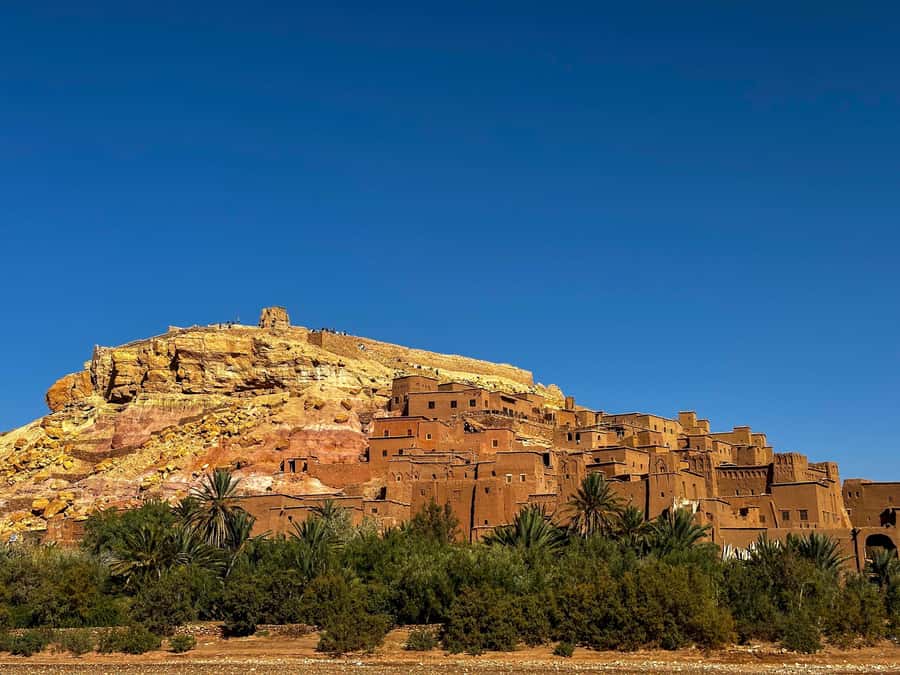 Zagora Desert: 2-Day 1-Night Desert Expedition to Remember - Dinner, music, and a cold night in camp