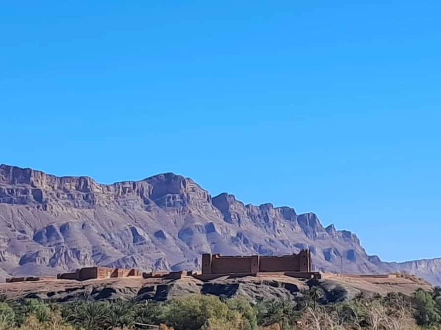 Zagora Desert: 2-Day 1-Night Desert Expedition to Remember - Sunrise and the short camel ride back